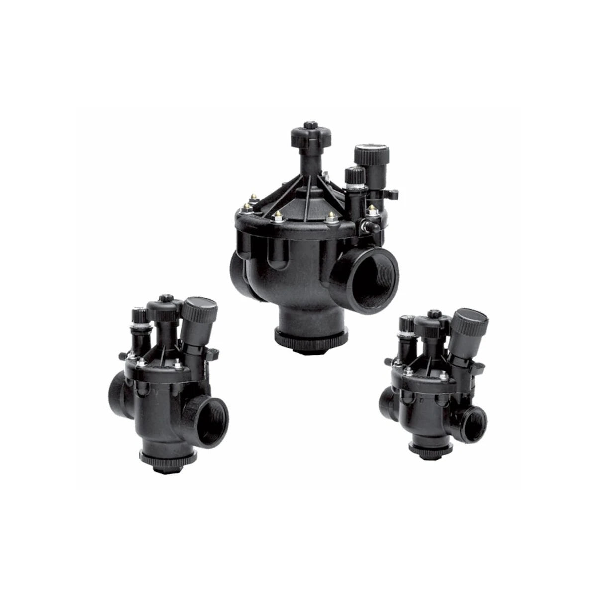 Toro P220-23-68 P-220 Globe/Angle Valve, 2 in BSP, Less Solenoid — image 1